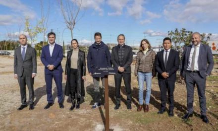 Torrejón – 150 de copaci sunt plantați cu ocazia Zilei Internaționale împotriva Schimbărilor Climatice