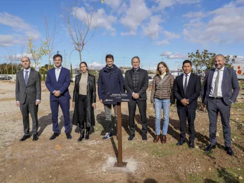 Torrejón – 150 de copaci sunt plantați cu ocazia Zilei Internaționale împotriva Schimbărilor Climatice