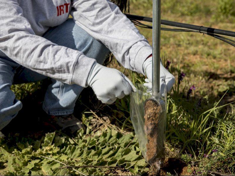 IRTA va investiga creșterea rezistenței solului agricol la evenimente climatice extreme și captarea carbonului