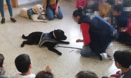 Alcalá – Consiliul Local și Asociația Dog Point organizează discuții de conștientizare școlare despre câinii de asistență pentru oameni…