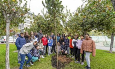 Torrejón – Torrejón de Ardoz comemorează cea de-a 44-a aniversare a Constituției Spaniei prin plantarea unui nou pom de căpșuni în Parque Con…