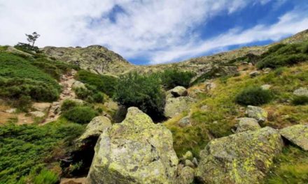 Comunitatea Madrid va reduce sarcinile administrative pentru a promova exploatarea forestieră a munților și pentru a favoriza autoconsumul