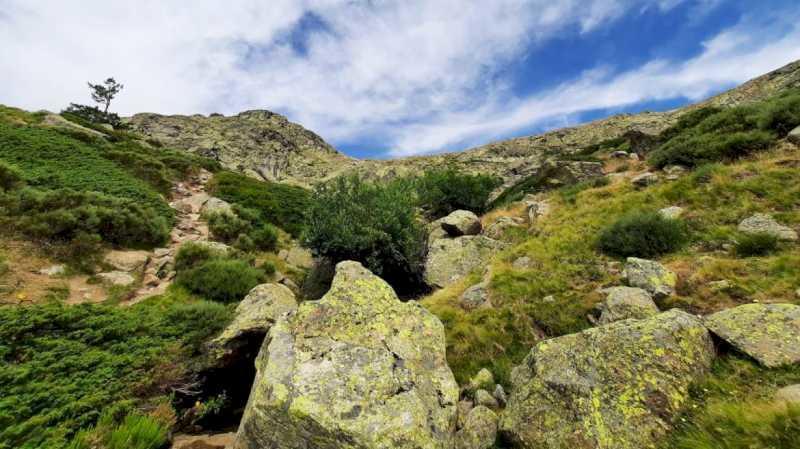 Comunitatea Madrid va reduce sarcinile administrative pentru a promova exploatarea forestieră a munților și pentru a favoriza autoconsumul