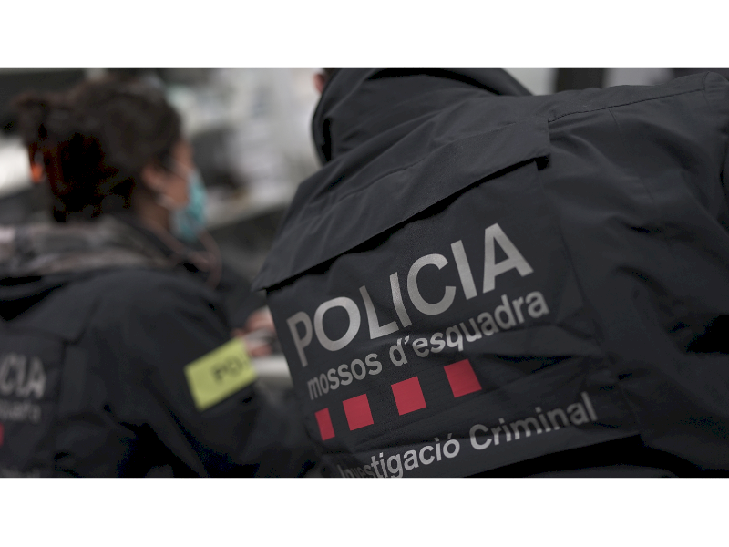 Mossos d’Esquadra și Poliția Națională demontează un grup infracțional care producea marijuana în demarcația Girona și o distribuie în țările din centrul Europei.