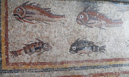 Restaurarea mozaicului de pește, o piesă cheie a Muzeului Național de Arheologie din Tarragona, este finalizată