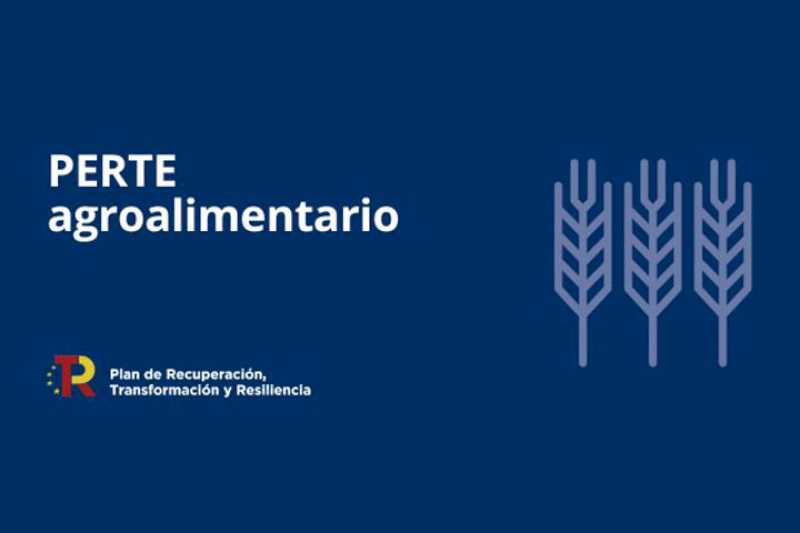 A fost publicată cererea de ajutor pentru consolidarea industrială în cadrul PERTE Agrifood în valoare de 510 milioane de euro