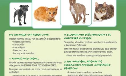 Alcalá – Consiliul Local Alcalá reamintește importanța proprietății responsabile în adopția animalelor