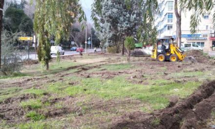 Alcalá – Consiliul Local Alcalá aprobă îmbunătățiri ale contractului de întreținere a zonelor verzi și a copacilor din oraș