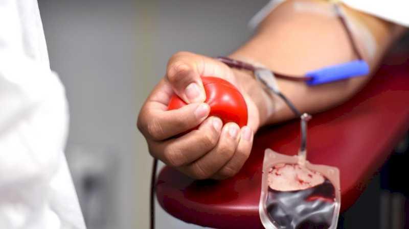 Comunitatea Madrid organizează un macro-maraton de donare de sânge în spitale și unități mobile