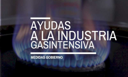 Ajutor pentru industria consumatoare de gaze: în ce constă?