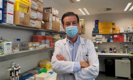 Spitalul 12 de Octubre și Institutul de Cercetare Josep Carreras creează o terapie bazată pe „celule pumnal” împotriva unui tip de leucemie foarte greu de tratat