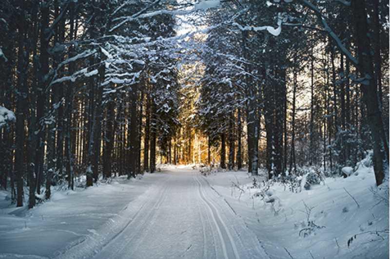 Având în vedere prognoza de ninsori, este esențial să se verifice starea drumurilor și să poarte lanțuri sau anvelope de iarnă