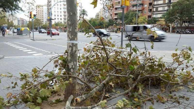 Barcelona: Alertele de vânt și condițiile nefavorabile ale mării au fost dezactivate