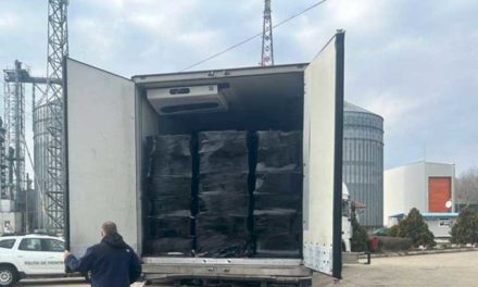 Țigări de contrabandă, în valoare de peste 1,5 milioane de euro, descoperite ascunse într-un autocamion, în P.T.F. Bechet
