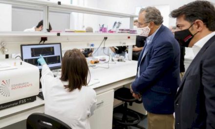 Noi cercetători din Comunitatea Madrid studiază proprietățile necunoscute ale metamaterialelor