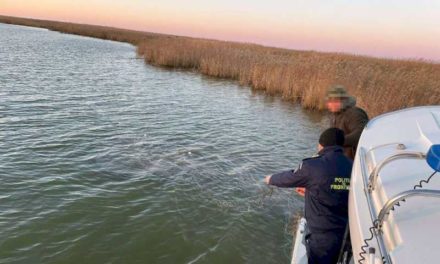 Peste 1.300 de metri plase monofilament cu 337 de kilograme de pește, scoase din lacul Sinoe, de polițiștii de frontieră