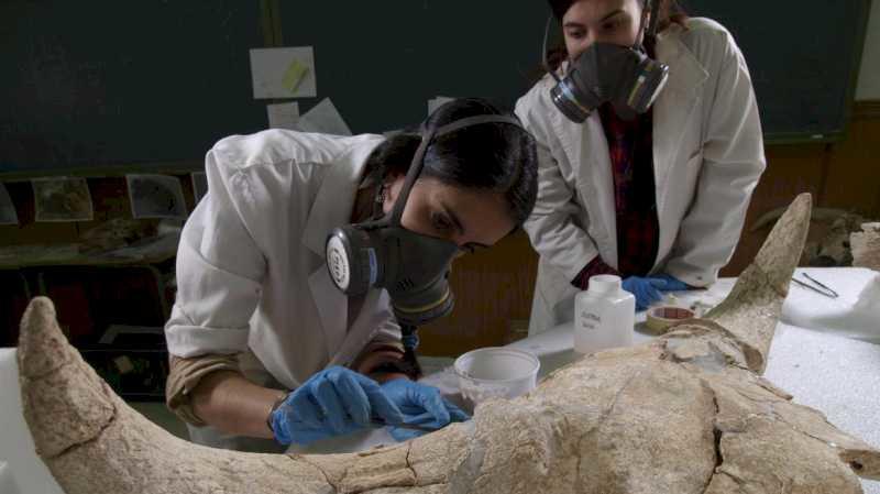 Cercetătorii de la Sanctuarul Pinilla del Valle din Comunitatea Madrid confirmă că oamenii de Neanderthal aveau capacitate simbolică