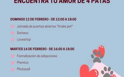 Alcalá – „Café con gatos” și „San Valentín Peludo”, noile campanii ale Consiliului Local pentru încurajarea adopțiilor la CIMPA