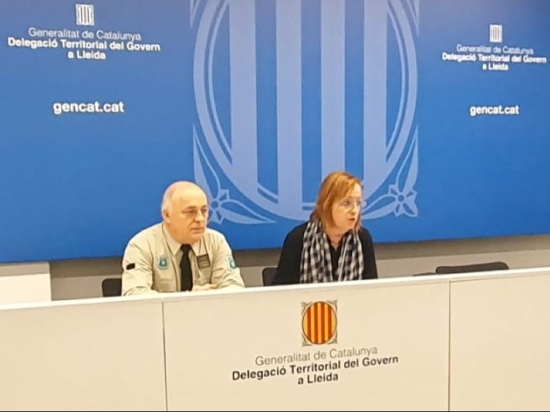 Agenții rurali vor lansa un test pilot în 8 puncte de pe rețeaua de drumuri din Lleida pentru a reduce accidentele de trafic cauzate de pătrunderea animalelor sălbatice.