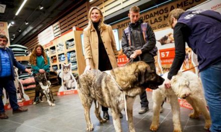 Comunitatea Madrid prezintă campania Know Me and Adopt Me pentru a crește gradul de conștientizare cu privire la promovarea câinilor și pisicilor abandonate