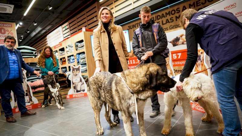 Comunitatea Madrid prezintă campania Know Me and Adopt Me pentru a crește gradul de conștientizare cu privire la promovarea câinilor și pisicilor abandonate