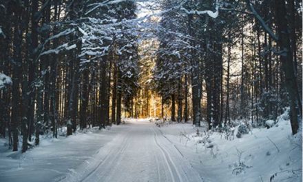 Este esențial să verificați starea drumurilor și să transportați lanțuri sau cauciucuri de iarnă în jumătatea de nord a Peninsulei