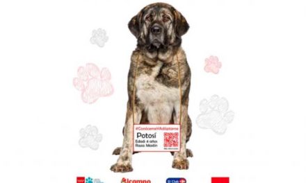 Torrejón – Campania „Cunoaște-mă și adoptă-mă” începe să crească gradul de conștientizare cu privire la încurajarea câinilor și pisicilor abandonate
