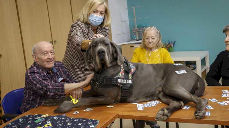 Peste 40 de reședințe pentru bătrâni din Comunitatea Madrid oferă terapii asistate de animale