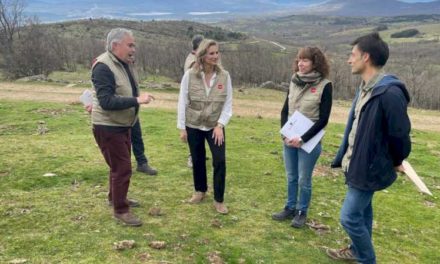 Comunitatea Madrid demarează proiectul Hidroforest pentru a proteja pădurile publice din apropierea rezervoarelor