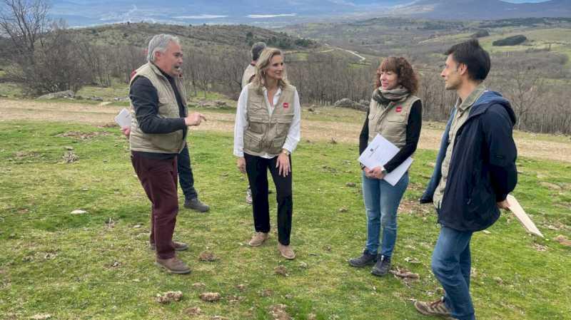 Comunitatea Madrid demarează proiectul Hidroforest pentru a proteja pădurile publice din apropierea rezervoarelor