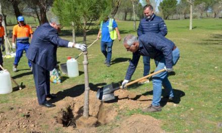 Comunitatea Madrid începe plantarea a peste 6.000 de copaci noi în 13 municipalități