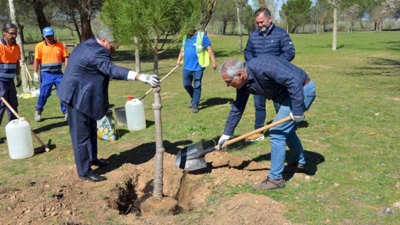 Comunitatea Madrid începe plantarea a peste 6.000 de copaci noi în 13 municipalități