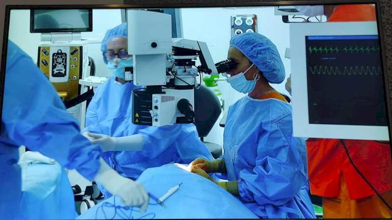 Spitalul Fuenlabrada celebrează un curs de Chirurgie Oculoplastică cu intervenții live