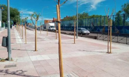 Torrejón – Consiliul Local Torrejón de Ardoz realizează renaturarea mai multor zone urbane ale orașului pentru a le face…