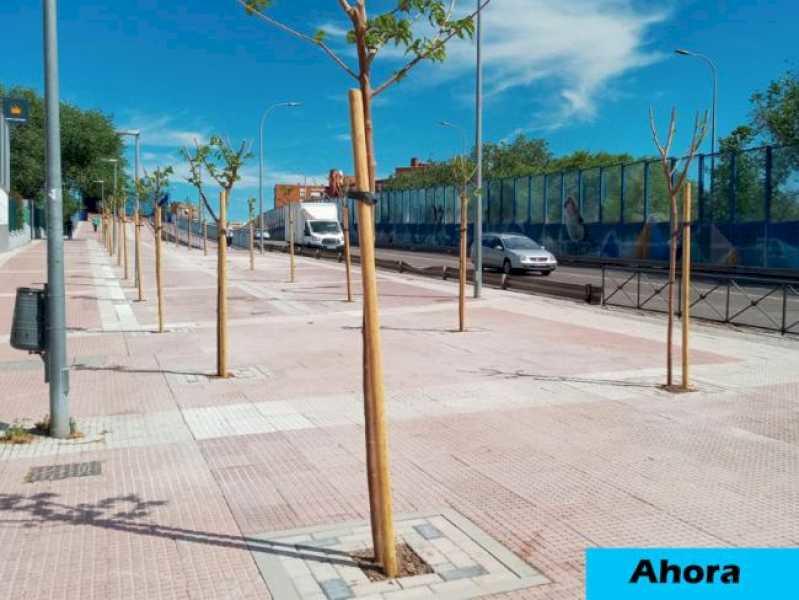 Torrejón – Consiliul Local Torrejón de Ardoz realizează renaturarea mai multor zone urbane ale orașului pentru a le face…