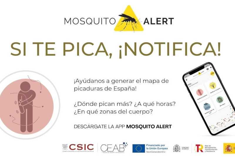 Health promovează platforma Mosquito Alert ca instrument de supraveghere