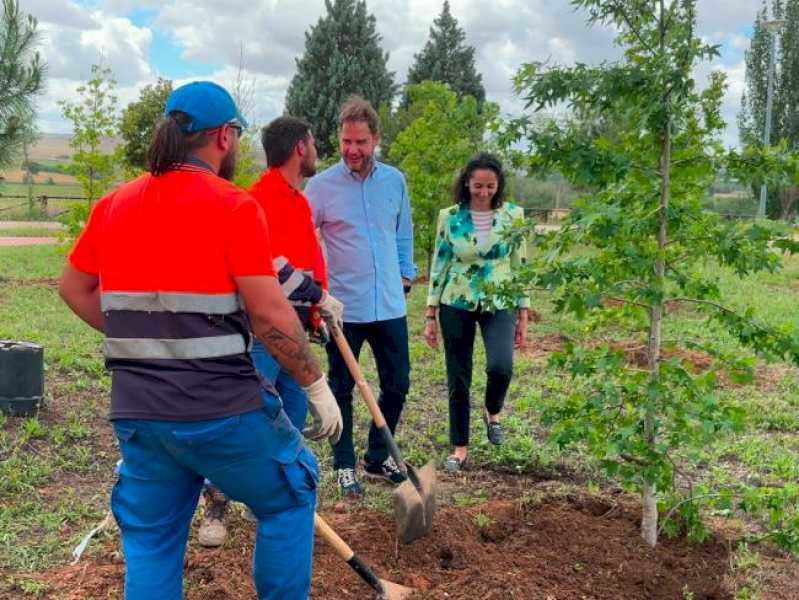Torrejón – Cu cei 520 de copaci noi plantați în parcul Miradores de Soto Henares, în ultimii 4 ani Torrejón de Ardoz a fost reformat…