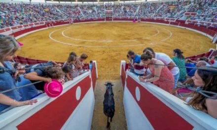 Torrejón – Abonamentele și biletele pentru Târgul Taurin al Festivalurilor Populare 2023 din Torrejón de Ardoz continuă să fie puse în vânzare