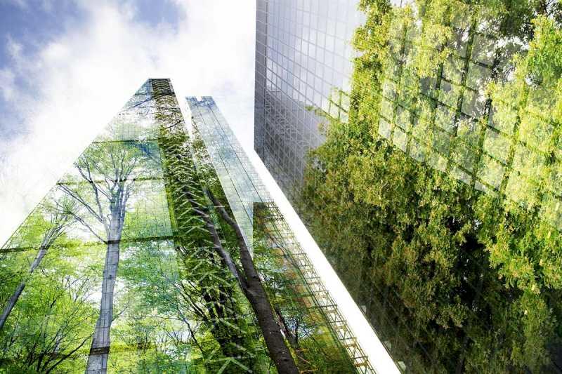 Tranziția ecologică aprobă 19 noi proiecte pentru promovarea renaturarii orașelor