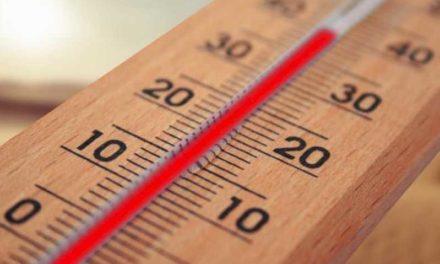 Torrejón – Având în vedere căldura intensă care se va înregistra în aceste zile cu temperaturi apropiate de 40 de grade prognozate pentru următoarele…