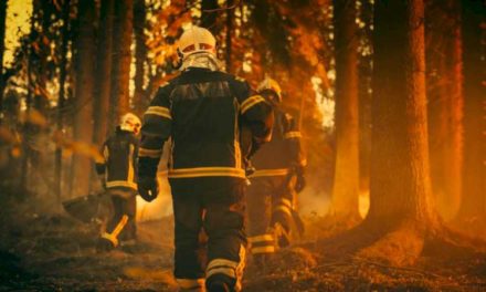 Comunitatea Madrid se prezintă în instanță pentru incendiul forestier din Castellón în martie trecut