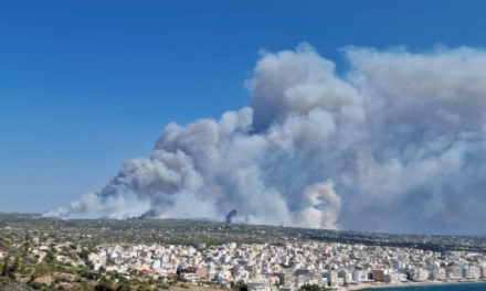Incendii forestiere: UE mobilizează asistență pe cale aeriană și la sol pentru stingerea incendiilor din Grecia
