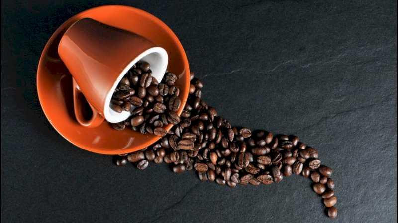 La Comunidad de Madrid investiga cómo una molécula presente en el café puede mejorar la calidad de vida en el envejecimiento
