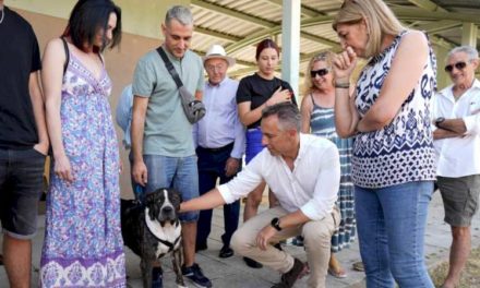 Comunitatea Madrid reduce abandonul de câini și pisici cu aproape 300 în prima jumătate a anului