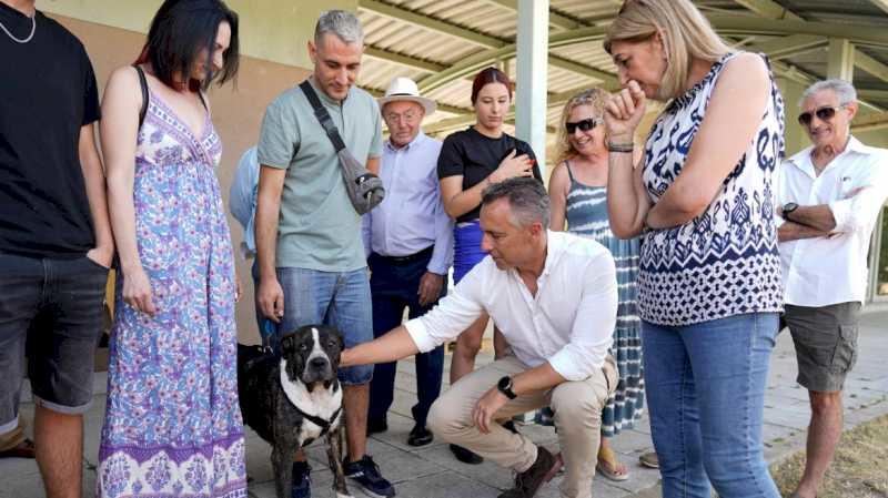 Comunitatea Madrid reduce abandonul de câini și pisici cu aproape 300 în prima jumătate a anului