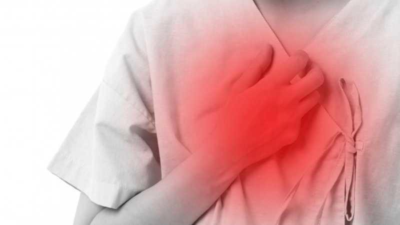 Comunitatea Madrid investighează modul de dezvoltare a țesutului cardiac pentru a îmbunătăți recuperarea după un atac de cord
