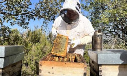 Comunitatea Madrid previne riscul de incendii prin controlul afumătorilor utilizați în apicultura