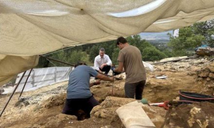 Comunitatea Madrid găsește cea mai veche fosilă de hominin din regiune în săpăturile din Valea Neanderthalienilor