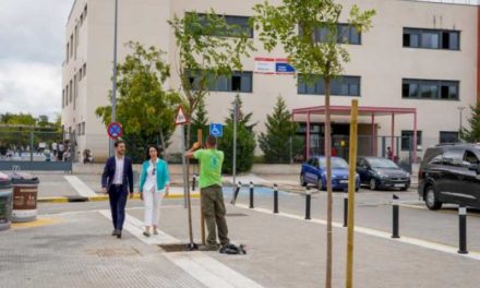Torrejón – Consiliul Local Torrejón de Ardoz creează mai multe zone umbrite în școlile orașului prin plantarea de noi copaci…