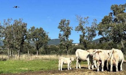 Comunitatea Madrid oferă fermierilor drone cu camere termice pentru a localiza animalele bolnave